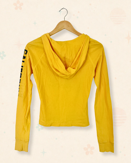 2000s Hollister Surf Sunshine Hoodie Tee (S)